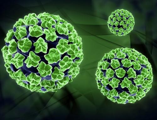 HPV virus